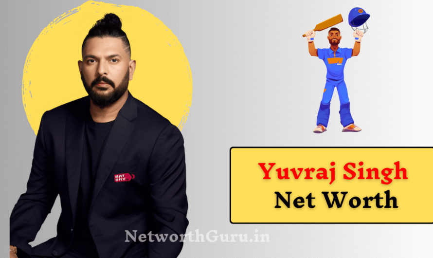 Yuvraj Singh Net Worth 2025 : How India’s Cricket Legend Built His Fortune?