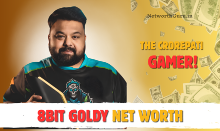 8Bit Goldy Net Worth