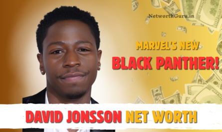David Jonsson Net Worth