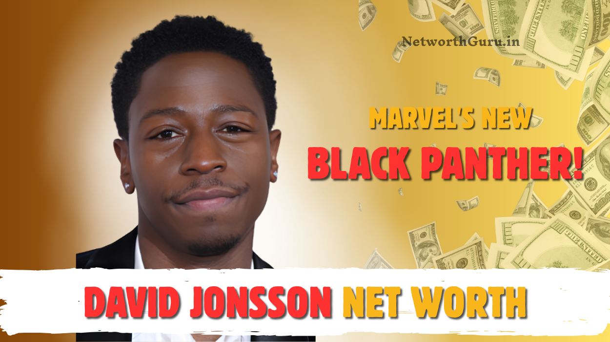 David Jonsson Net Worth
